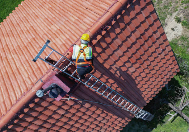 Best Emergency Roof Repair Services  in Devola, OH